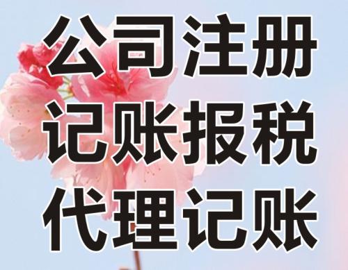 偃師財(cái)務(wù)代理記賬服務(wù) 讓信息服務(wù)業(yè)務(wù)放心可靠